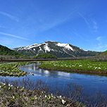 【尾瀬の旅】1泊2食+お弁当・お水付♪ 尾瀬の玄関口「鳩待峠」への送迎バス付2日間
