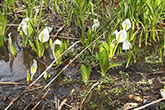 4月28日