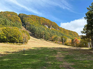 2025年10月29日「水上高原フォレストジップライン」