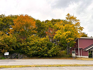 2025年10月31日「ホテル周辺」