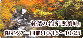 紅葉の名所照葉峡限定ツアー