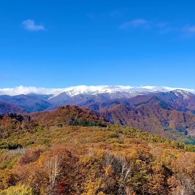 昨日の雪で遠くの山々が雪化粧