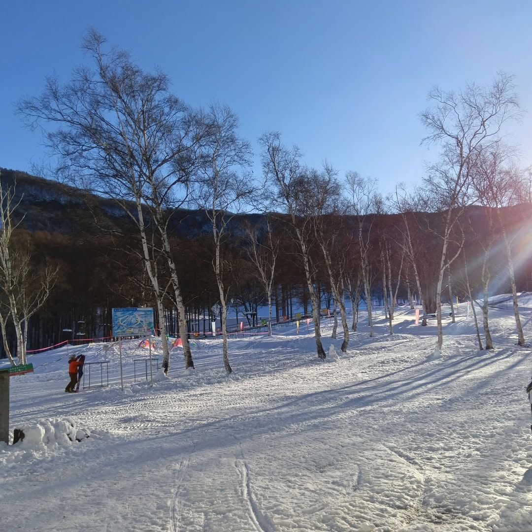 オープンして2日目、今朝のオープン前のゲレンデの様子…🎿