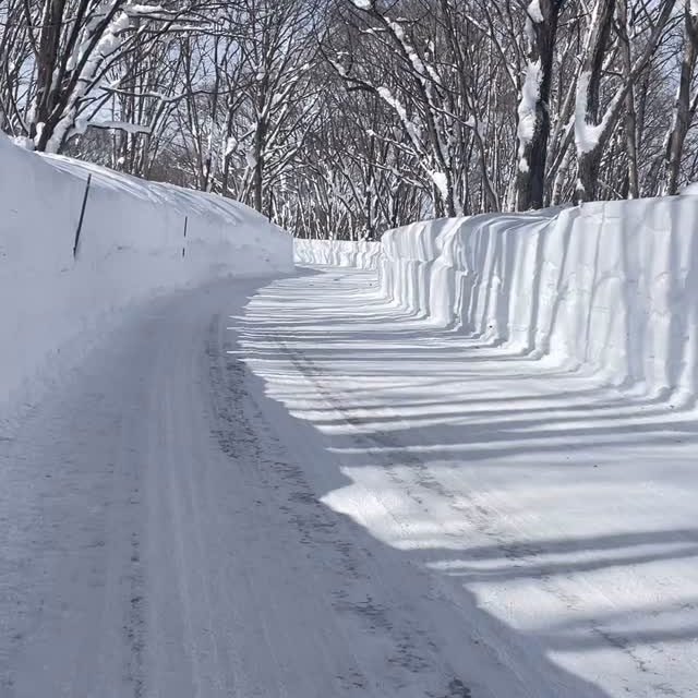 雪の壁を抜けると…❄️.*˚ホテルまでの道中もとても幻想的です